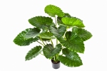 Kunstplant Alocasia Calidora 95cm